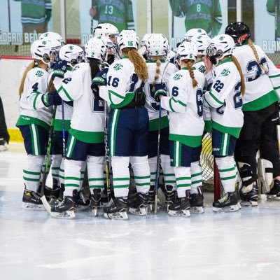 LDCGirlsHockey's profile picture. 