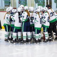 LDC Girls Hockey (@ldcgirlshockey) 's Twitter Profile