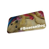 BuscanDog (@buscandog) 's Twitter Profile