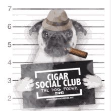 christopheroz66's profile picture. 