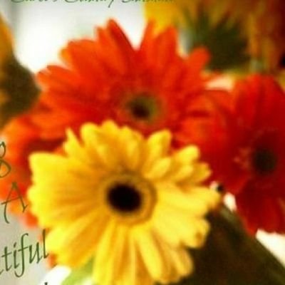 Rashpal72669202's profile picture. nothing