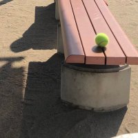 ささり (@sasa2sasari4) 's Twitter Profile