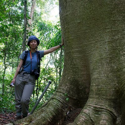 Tropical forests, tree architecture, demography, functional traits, trade-offs | Senior researcher | she/her ヾ(･ω･｡)∞ | tweets are my own | English/Japanese