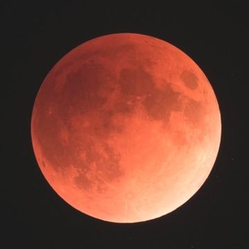 vft3l9KkOFviEku's profile picture. 春から広大