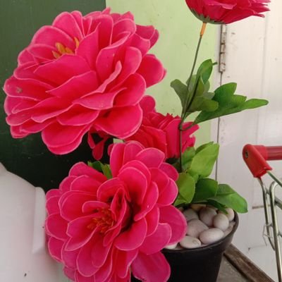 Milo93941469's profile picture. pikir dewe