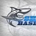 Sharks Baseball (@vasharks) Twitter profile photo Sharks Baseball (@vasharks) Twitter profile photo