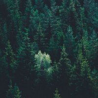Mateo Ore (@orehur) 's Twitter Profile