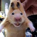 tomas sarmiento - @tomassarmiento1 - Twitter