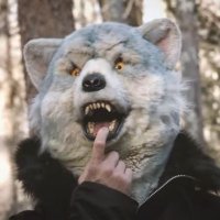 freak it🐺 (@freakit18) 's Twitter Profile