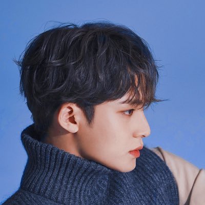 a birthday project dedicated to SEVENTEEN MINGYU