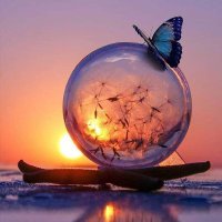 الفتى الجزائري (@elbarka2021) 's Twitter Profile