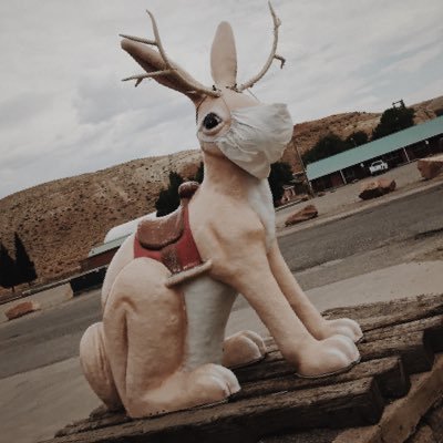 TheDocta3321's profile picture. Down south Georgia rebel, whole nother level