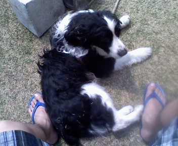 masaakimitsugi's profile picture. 