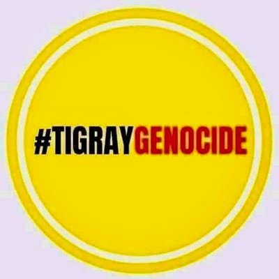 Haftom38157336's profile picture. 