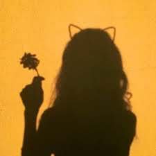 donttalked's profile picture. Follow back is my habit