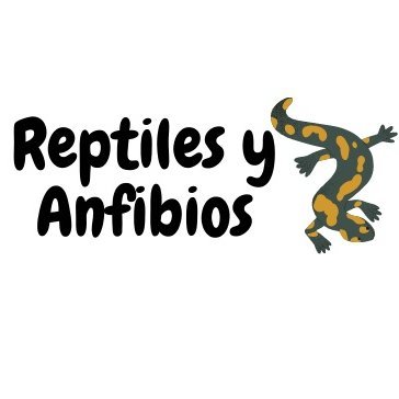 Todo lo que siempre te has preguntado y has querido saber sobre reptiles, anfibios y terrarios. Información https://t.co/dOSkeAaiBh