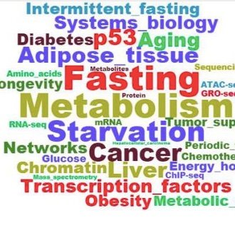 p53, fasting, cancer, obesity, metabolism, transcriptional/chromatin landscapes.