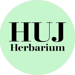 The National Herbarium @HebrewU.
The largest herbarium in the Middle East, housing around 1.5 million specimens. 
אוסף הצמחים הלאומי (עשבייה) @HebrewU_heb