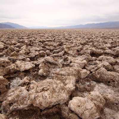 Looksmart18's profile picture. Hard-work. Clean cut. Focused on the goal