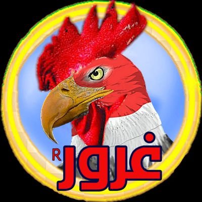 2cn25bofOgIgYKm's profile picture. لن اكل كبد أحد وكل واحد يحتفظ بكبدة .