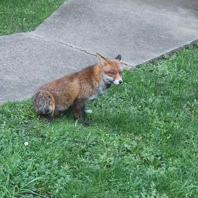 DegnanFranklin's profile picture. Tech