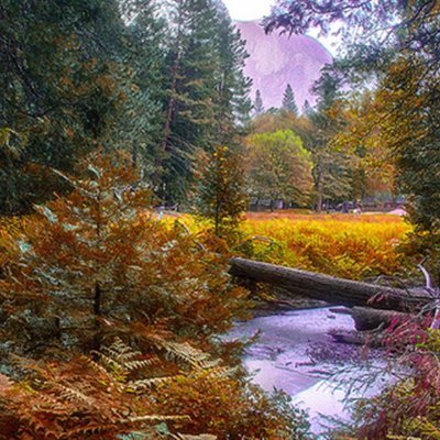 smcgeebeaning's profile picture. 