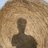winky99's profile image