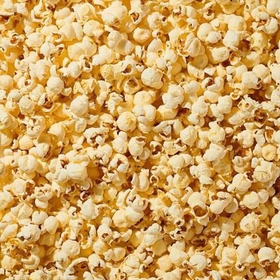 __moxxie's profile picture. 