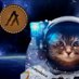 🐈.algo (@algothecat) Twitter profile photo 🐈.algo (@algothecat) Twitter profile photo