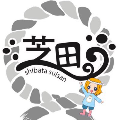 石川県にて家族で能登かき養殖しています🦪皆様に能登かきを味わって頂きたく生産直販しています🙇‍♀️全国発送します✨DMからの注文可能♡お気軽にお問い合わせ下さい♡ #芝田水産娘オススメ牡蠣料理 https://t.co/UuXRuK1Amx