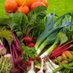 Edible Gardening Project (@ediblegarden1) Twitter profile photo Edible Gardening Project (@ediblegarden1) Twitter profile photo