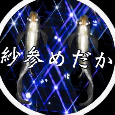 紗参めだか 実験 Psbのみでミジンコを増やして2日目です 明らかに増えてはいるけど生クロレラよりは遅いかな メダカ めだか ミジンコ アクアリウム ビオトープ 紗参めだか 実験 Psbのみでミジンコを増やして2日目です 明らかに増えてはいるけど生クロレラよりは遅いかな メダカ めだか ミジンコ アクアリウム ビオトープ
