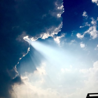 イガワ 22話のこれだけは呟いておきたいと思ってた事の一つに 伏黒が木を乗り越えて歩くカット C174 の着地した時の ドサッ と言う効果音がすごく良かったです これだけは言いたかった 動きとリンクしたとても良い効果音 個人的に22話で1番