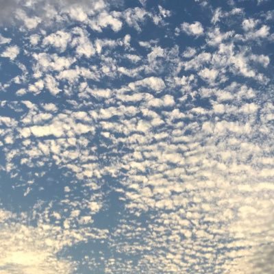 sumire_various's profile picture. 20↑腐/閲覧・取引用/嵐/寺島拓篤さん/フィギュアスケート