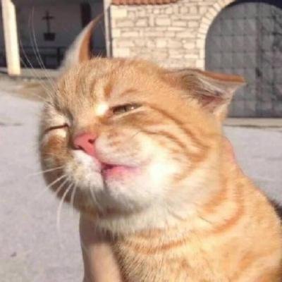DantesAllegory's profile picture. 