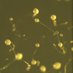 AutophagyLabIIB (@autophagylabiib) Twitter profile photo AutophagyLabIIB (@autophagylabiib) Twitter profile photo