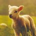 Carine Lemmer (@carinelemmer) Twitter profile photo Carine Lemmer (@carinelemmer) Twitter profile photo