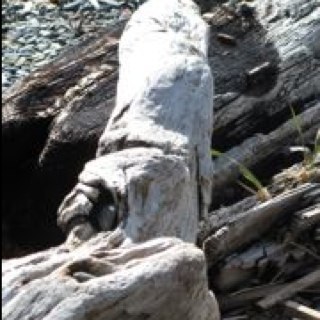 Okay_u2's profile picture. retired, dabbles with watercolors and. now acrylics, lives i with Brenda and collie Morgan