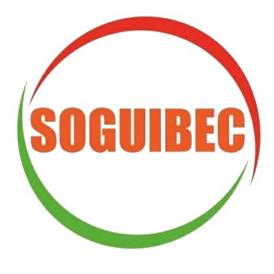 soguibec's profile picture. La SOGUIBEC S.A a pour vocation d'accompagner les entreprises lors de leur implantation, en offrant sa collaboration pour la réalisation d'infrastructures.