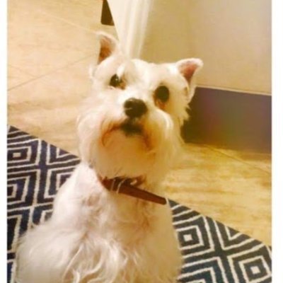 sinia_z's profile picture. 