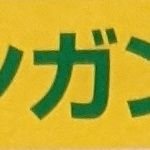 平成10年(1998)よりイチゴ栽培開始。とちあいか＆とちおとめ合わせて20a栽培しています。イチゴの発送は行っておりません。