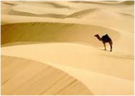 prodigin's profile picture. 우리편도 깝니다. 인터넷의익명성에숨어모니터앞에있을수밖에없는키보드워리어들이 모였습니다. 개념탑재하셨다면, 누구든 모이세요. 개념의 기준은 제가 판단합니다. 생각보다 능력자들 많습니다. #Prodigin