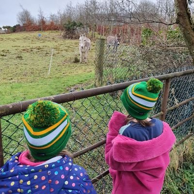 Marguer86753245's profile picture. 