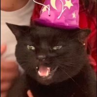 DarkNinja_LP-WT (@darkninja_wt) 's Twitter Profile