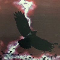 CyberHawk(サイバーホーク、電脳鷹) (@cyberhawkjp2000) 's Twitter Profile