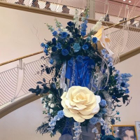 あんどろめだざだぞ (@andromeeee) 's Twitter Profile