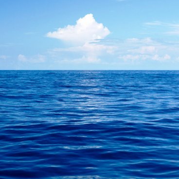 pepitop45727344's profile picture. 