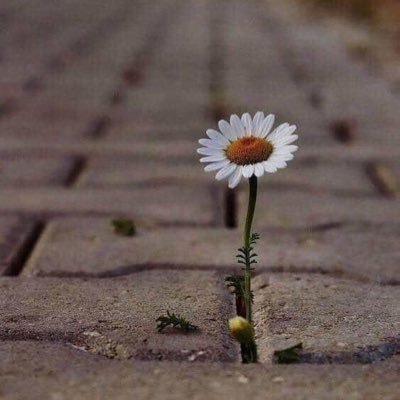 bas_putaek's profile picture. ขอให้ผมมีความสุขกับ Fwb