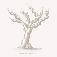 Our Old Vines (@ouroldvines) 's Twitter Profile