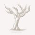 Our Old Vines (@ouroldvines) Twitter profile photo Our Old Vines (@ouroldvines) Twitter profile photo